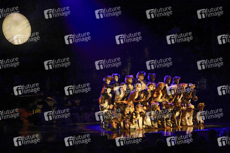 Musical-Premiere 'Cats' in Düsseldorf
