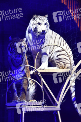 Circus Krone Premiere 'Farbenspiel - Gold Edition' in München