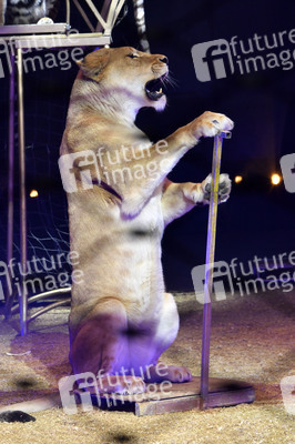 Circus Krone Premiere 'Farbenspiel - Gold Edition' in München