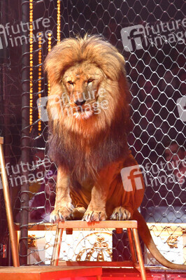 Circus Krone Premiere 'Farbenspiel - Gold Edition' in München