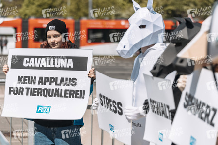 Pferdeshow 'Cavalluna - Grand Moments' in Erfurt