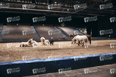 Backstageführung zur Pferdeshow 'Cavalluna - Grand Moments' in Erfurt