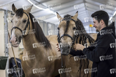 Backstageführung zur Pferdeshow 'Cavalluna - Grand Moments' in Erfurt