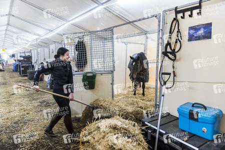 Backstageführung zur Pferdeshow 'Cavalluna - Grand Moments' in Erfurt