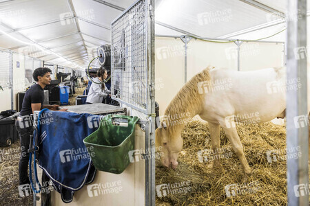 Backstageführung zur Pferdeshow 'Cavalluna - Grand Moments' in Erfurt
