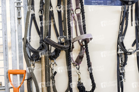 Backstageführung zur Pferdeshow 'Cavalluna - Grand Moments' in Erfurt