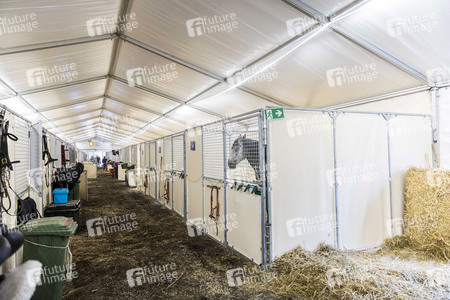 Backstageführung zur Pferdeshow 'Cavalluna - Grand Moments' in Erfurt