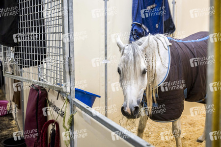 Backstageführung zur Pferdeshow 'Cavalluna - Grand Moments' in Erfurt
