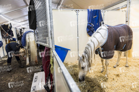 Backstageführung zur Pferdeshow 'Cavalluna - Grand Moments' in Erfurt