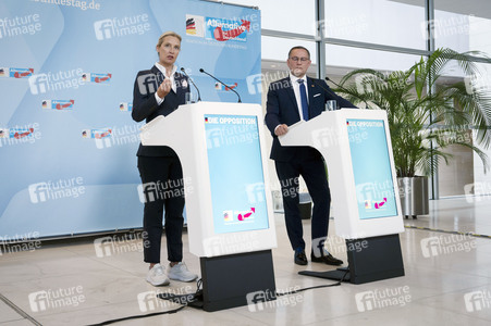 Fraktionssitzung der AfD-Bundestagsfraktion in Berlin