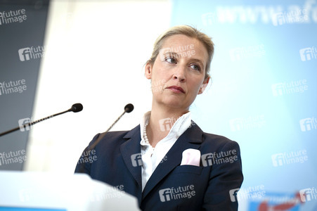 Fraktionssitzung der AfD-Bundestagsfraktion in Berlin