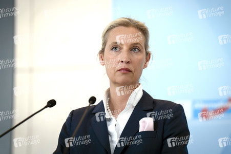 Fraktionssitzung der AfD-Bundestagsfraktion in Berlin