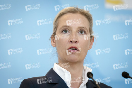 Fraktionssitzung der AfD-Bundestagsfraktion in Berlin