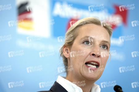 Fraktionssitzung der AfD-Bundestagsfraktion in Berlin