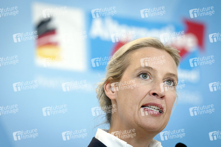 Fraktionssitzung der AfD-Bundestagsfraktion in Berlin