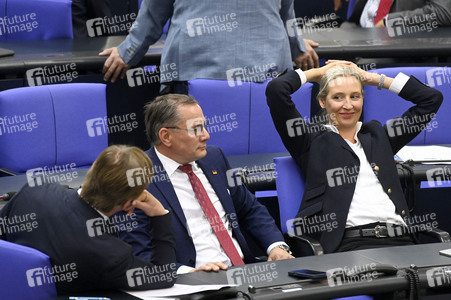 2. Sitzung des Deutschen Bundestages in Berlin