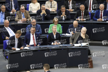 2. Sitzung des Deutschen Bundestages in Berlin