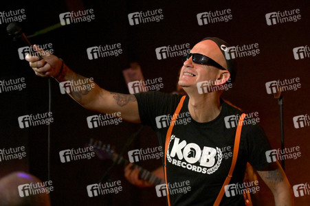 Konzert von Los Fastidios in Hannover