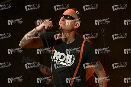 Konzert von Los Fastidios in Hannover