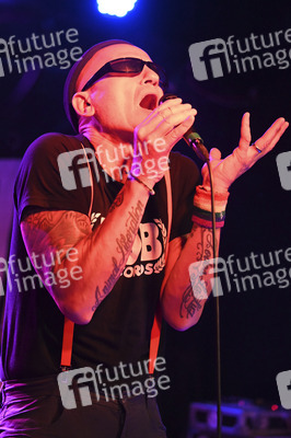 Konzert von Los Fastidios in Hannover