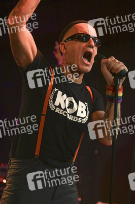 Konzert von Los Fastidios in Hannover