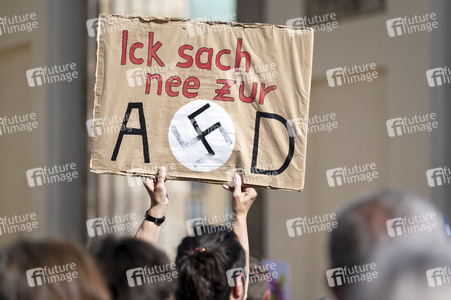 Demonstration für ein AfD-Verbot in Berlin
