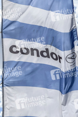 Symbolfoto Condor