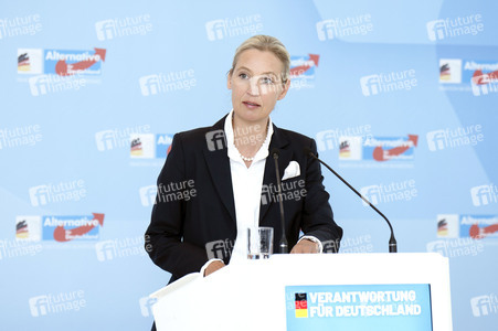 Fraktionssitzung der AfD-Bundestagsfraktion in Berlin