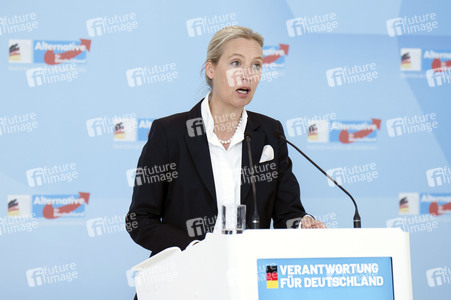 Fraktionssitzung der AfD-Bundestagsfraktion in Berlin