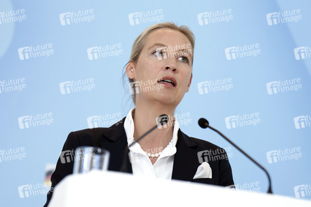 Fraktionssitzung der AfD-Bundestagsfraktion in Berlin