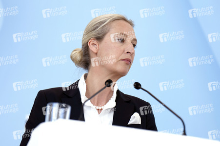 Fraktionssitzung der AfD-Bundestagsfraktion in Berlin