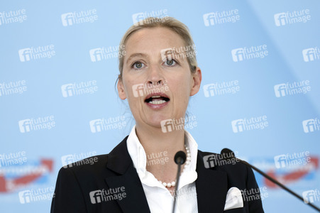 Fraktionssitzung der AfD-Bundestagsfraktion in Berlin