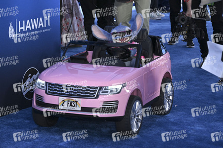 Filmpremiere 'Lilo & Stitch' in Los Angeles