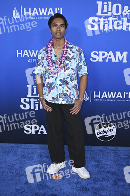 Filmpremiere 'Lilo & Stitch' in Los Angeles