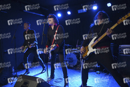 Konzert von Muck and the Mires in Hannover