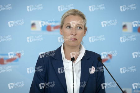 Fraktionssitzung der AfD-Bundestagsfraktion in Berlin