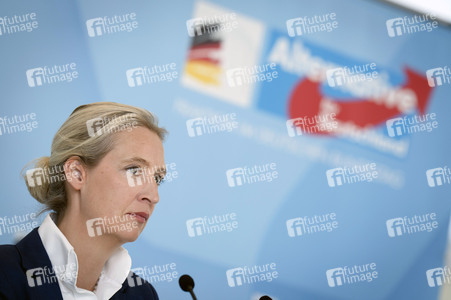 Fraktionssitzung der AfD-Bundestagsfraktion in Berlin