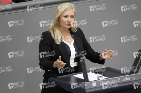 8. Sitzung des Deutschen Bundestages in Berlin