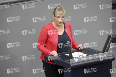 8. Sitzung des Deutschen Bundestages in Berlin