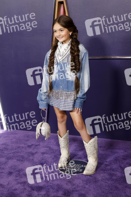 American Music Awards 2025 in Las Vegas