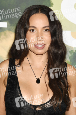 Serienpremiere 'Stick' in Los Angeles