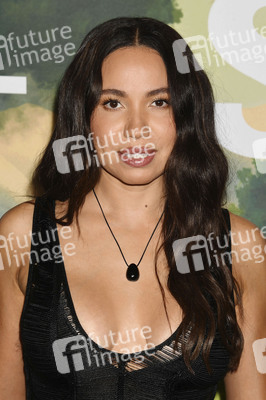 Serienpremiere 'Stick' in Los Angeles