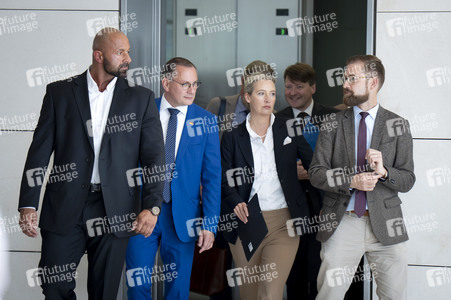 Fraktionssitzung der AfD-Bundestagsfraktion in Berlin