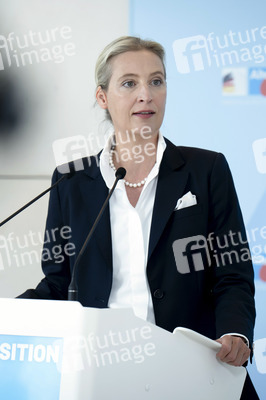 Fraktionssitzung der AfD-Bundestagsfraktion in Berlin