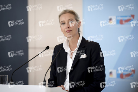 Fraktionssitzung der AfD-Bundestagsfraktion in Berlin