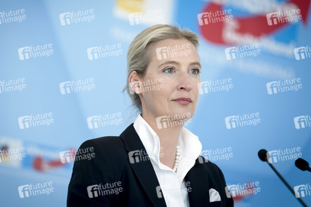 Fraktionssitzung der AfD-Bundestagsfraktion in Berlin