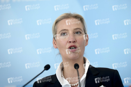 Fraktionssitzung der AfD-Bundestagsfraktion in Berlin