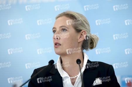 Fraktionssitzung der AfD-Bundestagsfraktion in Berlin