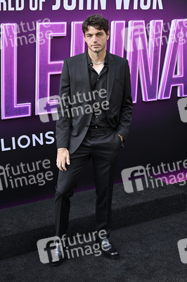 Filmscreening 'Ballerina' in Los Angeles