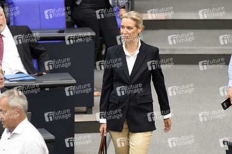 10. Sitzung des Deutschen Bundestages in Berlin